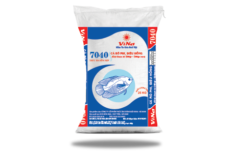 VINA 7080