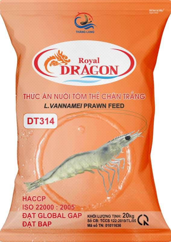 DT311 10KG